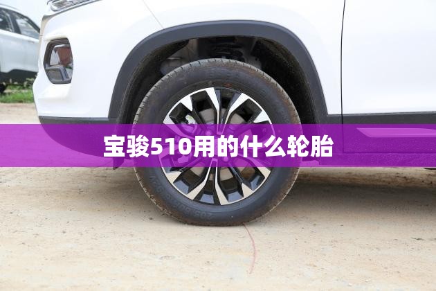 国家海洋局大连海洋环境监测中心站的业务范围