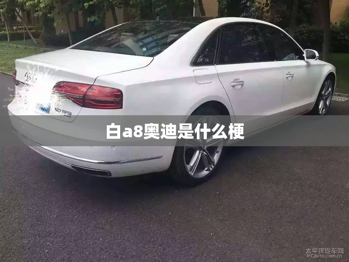 白a8奥迪是什么梗