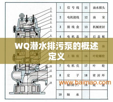 WQ潜水排污泵的概述定义