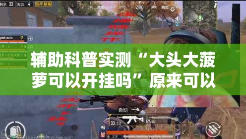 辅助科普实测“大头大菠萝可以开挂吗”原来可以开挂
