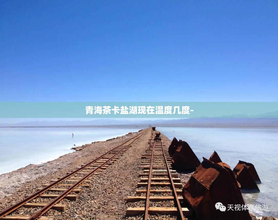 玩家必备攻略!宝宝吃吃吃有挂吗”全程揭秘开挂教程