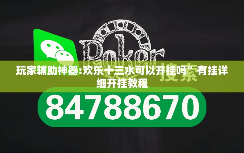 安装程序教程“福建十三水有挂吗”全程揭秘开挂教程