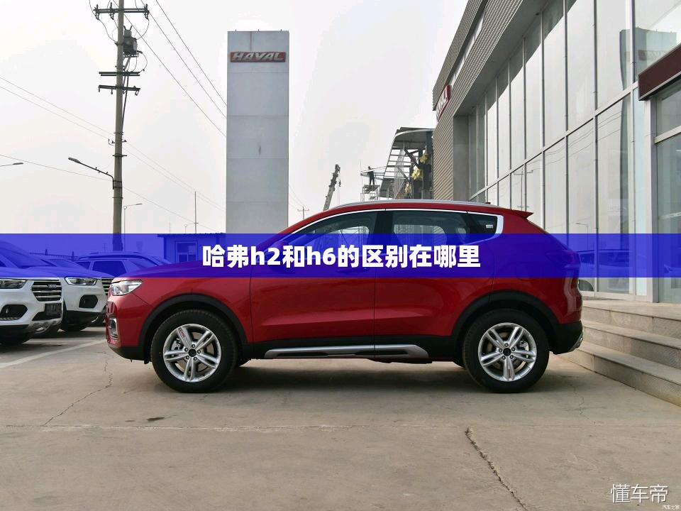 实测分享“闽南新亲友可以开挂吗”2026开挂教程步骤