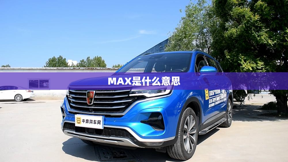 MAX是什么意思