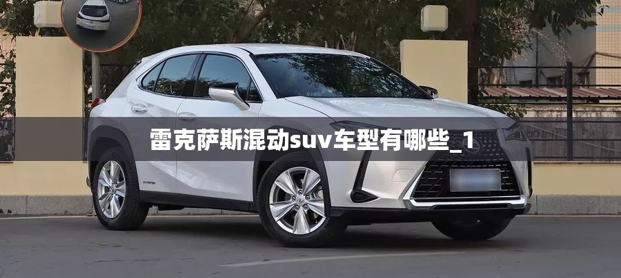 玩家辅助神器:“黑桃联盟可以开挂吗”原来有挂 难怪会一直输