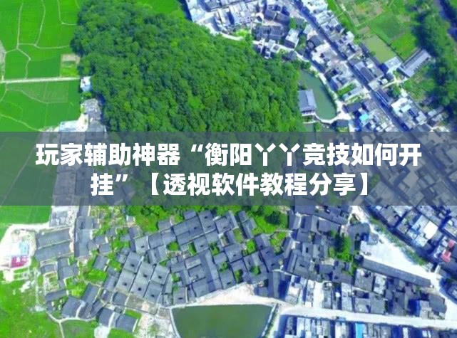 玩家辅助神器“衡阳丫丫竞技如何开挂”【透视软件教程分享】