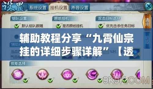辅助教程分享“九霄仙宗挂的详细步骤详解”【透视软件教程分享】