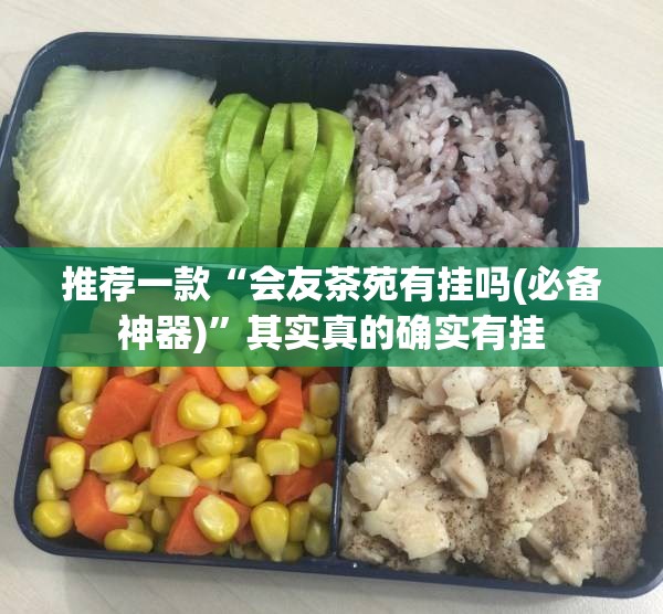 推荐一款“道游联盟可以开挂吗”详细辅助教程分享