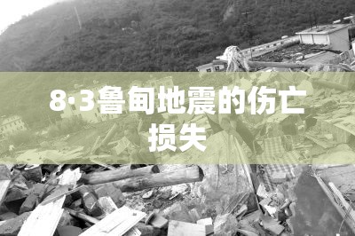 8·3鲁甸地震的伤亡损失