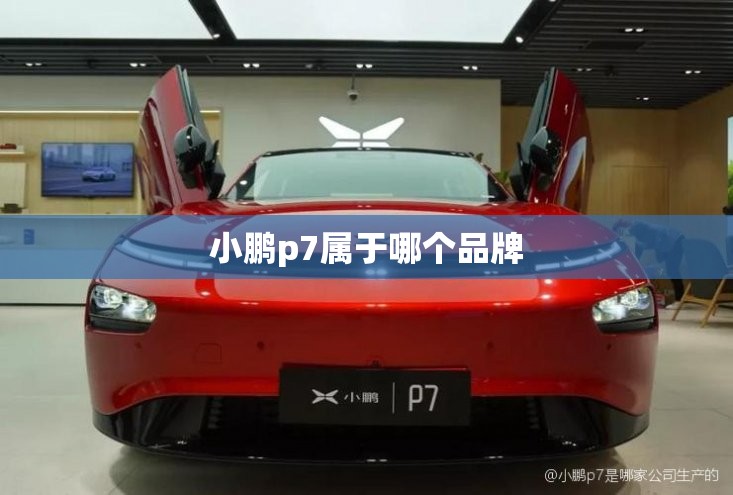 推荐一款“天天贵阳麻将可以开挂吗-最新辅助详细教程