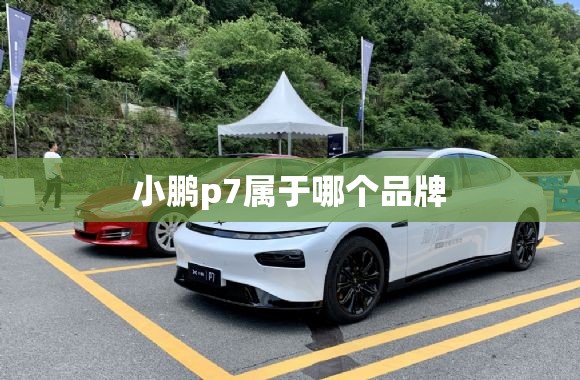 小鹏p7属于哪个品牌