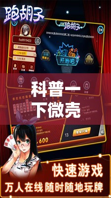 科普一下微壳跑胡子安装	”详细辅助教程分享
