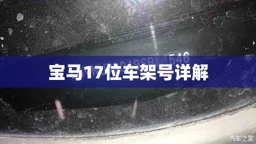 宝马17位车架号详解