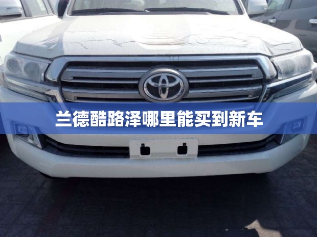 兰德酷路泽哪里能买到新车