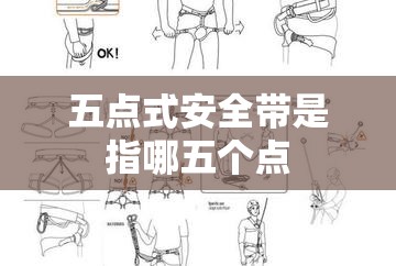 五点式安全带是指哪五个点