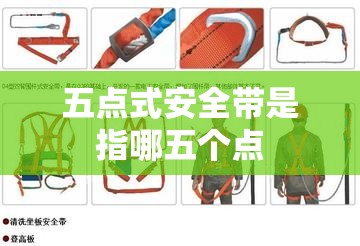 五点式安全带是指哪五个点