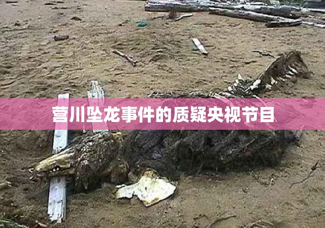 营川坠龙事件的质疑央视节目
