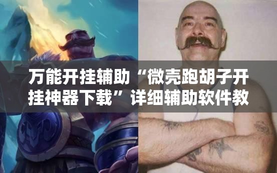 万能开挂辅助“微壳跑胡子开挂神器下载”详细辅助软件教程