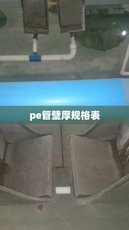 新台风名字叫什么