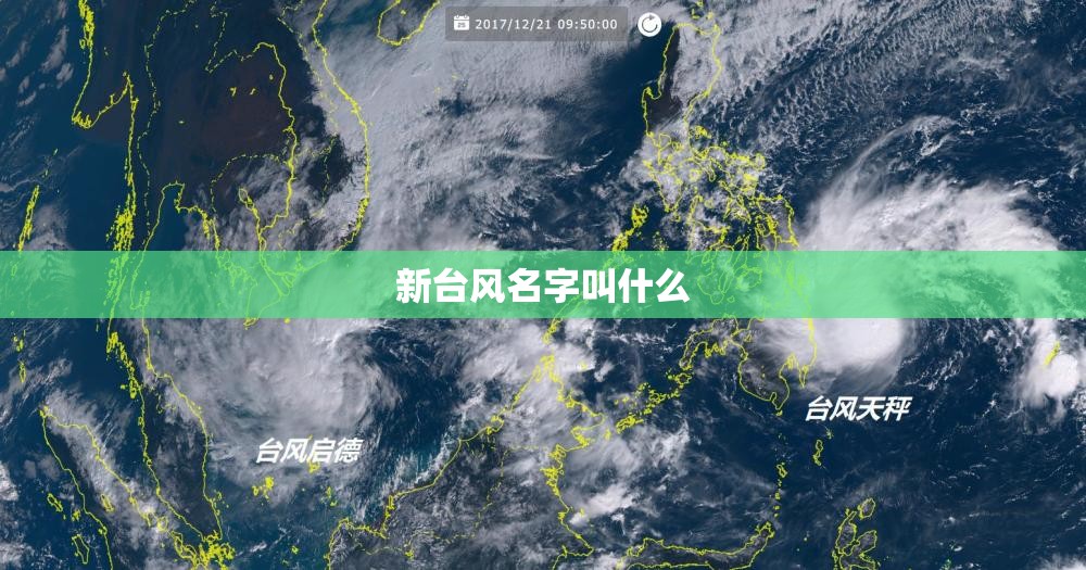 新台风名字叫什么