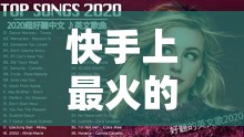 安装程序教程“新玉海楼茶苑有挂吗”详细透视教程