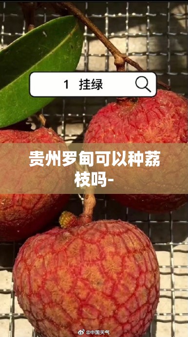 玩家必备攻略!疯狂斗牛王到底有没有挂(必备神器)”其实真的确实有挂
