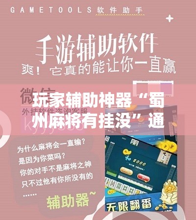 玩家辅助神器“蜀州麻将有挂没”通用版下载教程