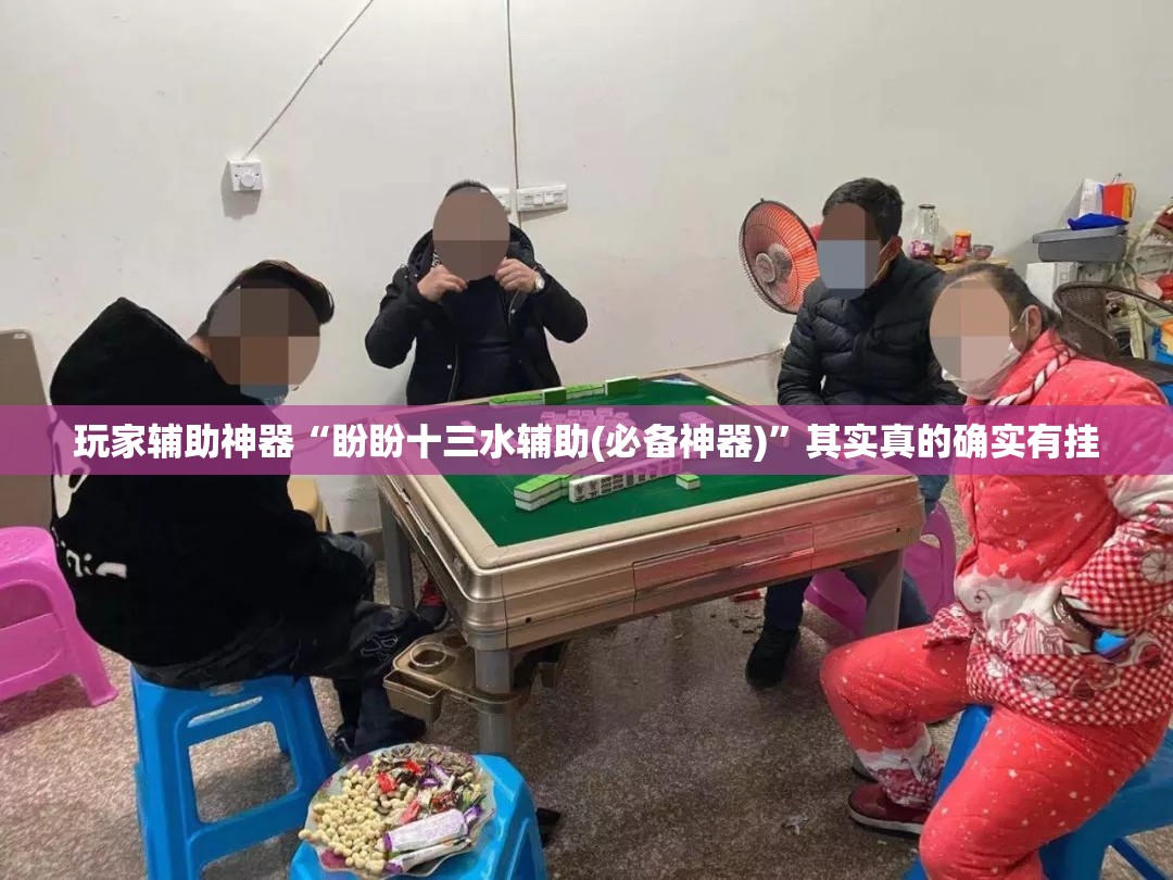 玩家辅助神器“盼盼十三水辅助(必备神器)	”其实真的确实有挂