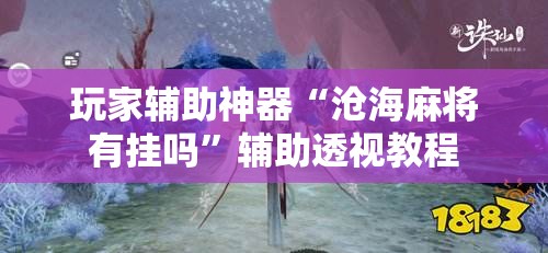玩家辅助神器“微壳跑胡子安装”有挂详细开挂教程